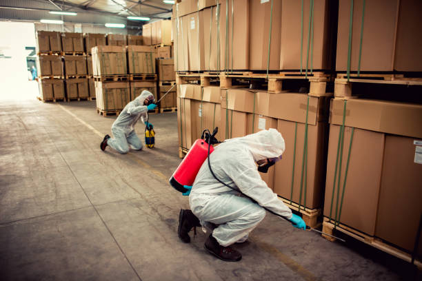 Best Affordable Pest Control Services  in Landover, MD