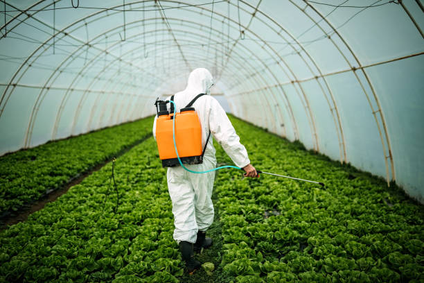 Best Pest Control Cost  in Landover, MD