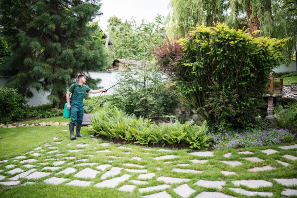 Best Best Pest Control Companies  in Landover, MD