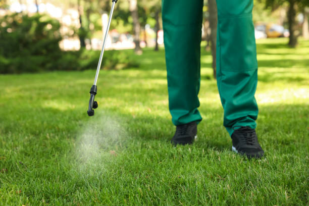Best Bed Bug Extermination  in Landover, MD
