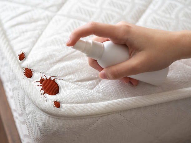 Best Residential Pest Control  in Landover, MD